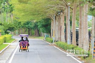 關山的環鎮自行車道曾是台東著名景點，公所也正在評估停止收費。（黃力勉攝）