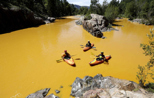 El río Ánimas, en Colorado, teñido de amarillo por un enorme derrame tóxico. (AP)