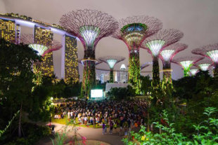 新加坡著名的濱海灣花園 (圖片來源／Gardens by the Bay)