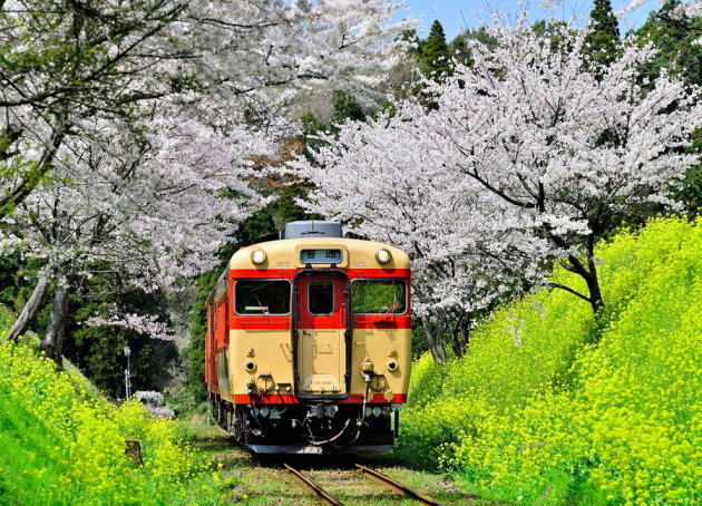 集集線與日千葉鐵道，締結姊妹。（圖／TVBS）