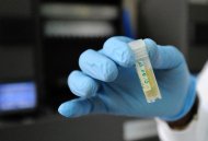 Cientistas conseguiram produzir um cromossomo artificial de levedura, um grande avanço no campo emergente da Biologia Sintética