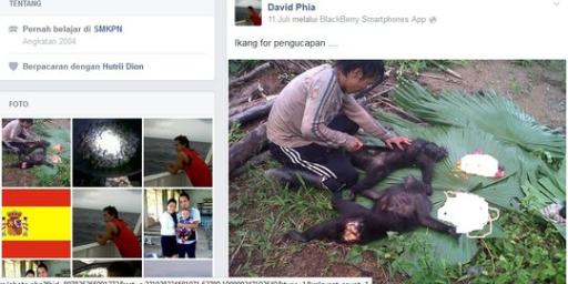 Upload foto makan monyet di Facebook, pria diduga Polhut dikecam