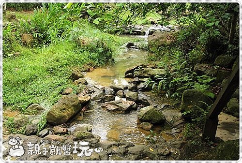 桃米村美景 ( 圖 / 親子就醬玩 )