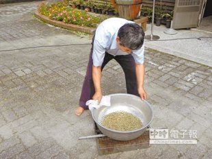 台灣咖啡節創意烘焙賽，這位老兄要以木炭和大臉盆炒咖啡豆。（許素惠攝）