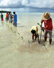 聯合國日前發布報告，指氣候變遷將造成深遠影響。圖為報告封面，吐瓦魯。（photo by IPCC）