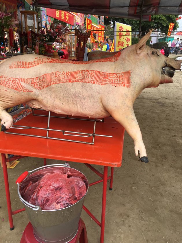 民眾說，現宰全豬應該要像這樣，肉質呈現粉紅色，並且把內臟放在桶內，證明新鮮現宰。