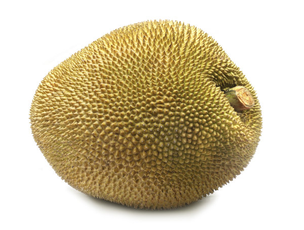En inglés se le conoce como jackfruit / Foto: Thinkstock