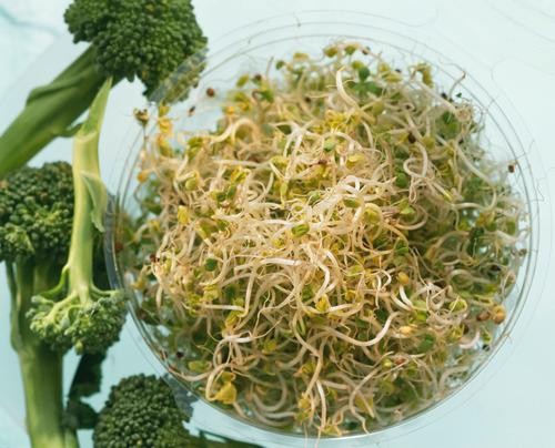 The Best Detox-y Broccoli Dishes