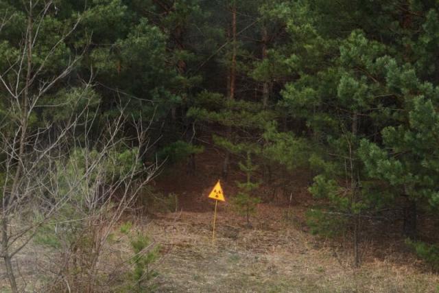 Señal de peligro por radioactividad frente al “bosque rojo” de la Zona de Exclusión, Ucrania (Foto: Vitaliy Holovin / Corbis a través de Getty images).