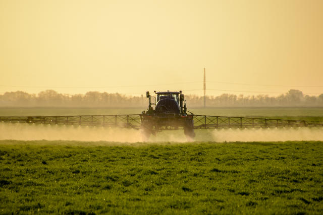 A new review of existing studies has found that the risk of developing cancer from exposure to glyphosate may be higher than previously thought.