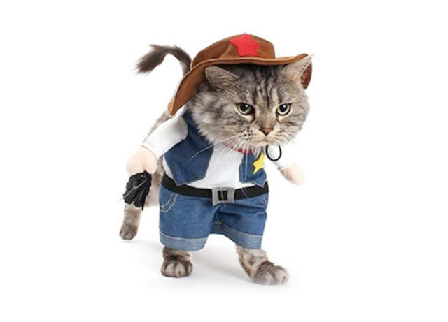Halloween Costumes For Your Cat