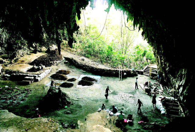 - PHOTO TAKEN IN JUN04 - Scientists walk in the cave on the island of Flores in Indonesia, 600 km east of Bali, where a newly discovered species of hobbit-sized humans was found that adds another piece to the complex puzzle of human evolution. The partial skeleton of Homo floresiensis, found in a cave on the Indonesian island of Flores, is of an adult female that was a metre (three feet) tall, and had a chimpanzee-sized brain that was substantially different from modern humans. Picture taken June 2004. ??? USE ONLY