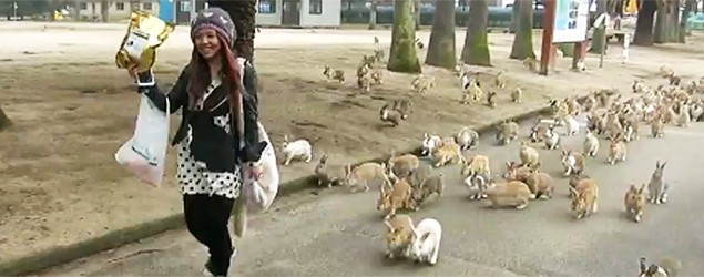 Stampede! Rabbits chase after woman. (YouTube)